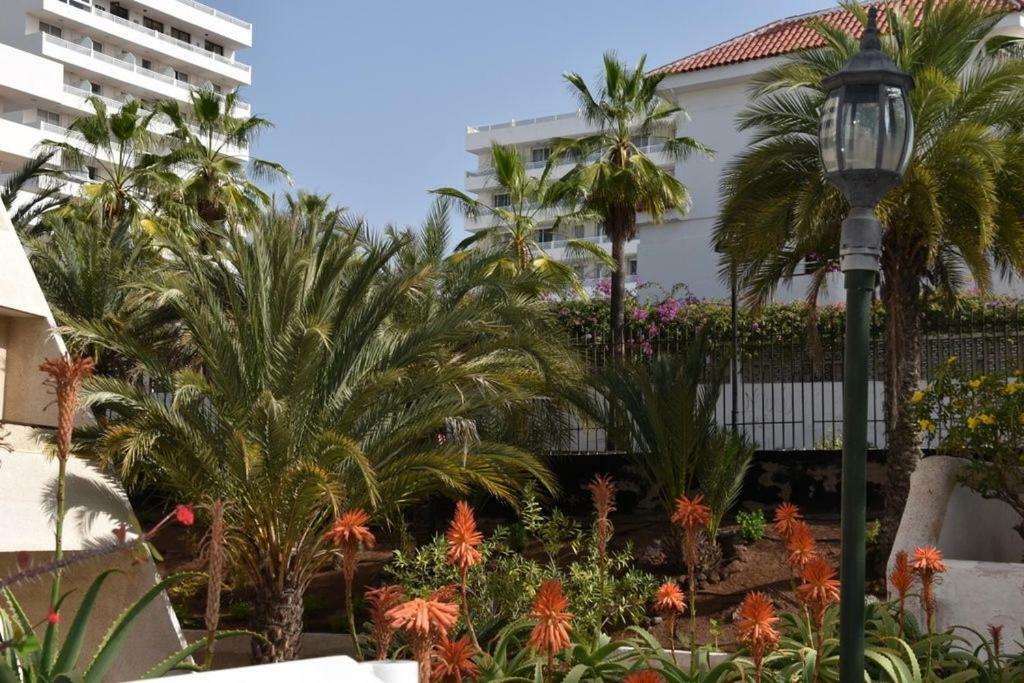 Apartamento Las Veronicas Arona  Extérieur photo